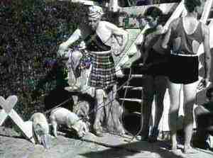 Prince Rigadin - cochons sur plage